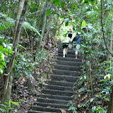 IMG_4436.JPG