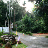 IMG_4235.JPG