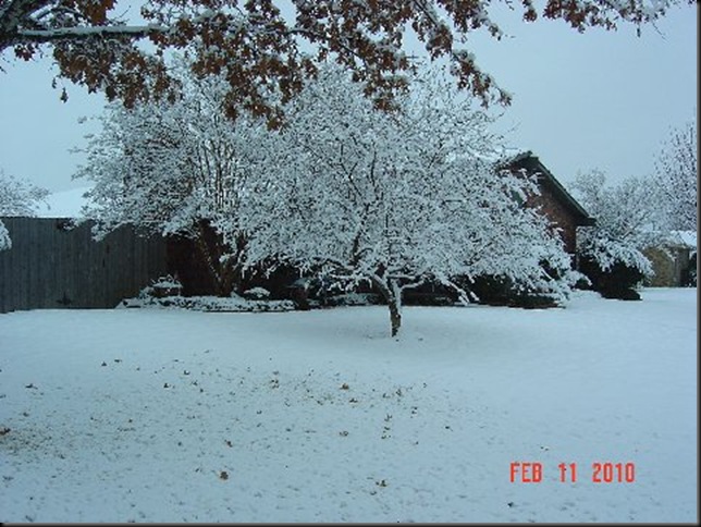 snow in feb 010