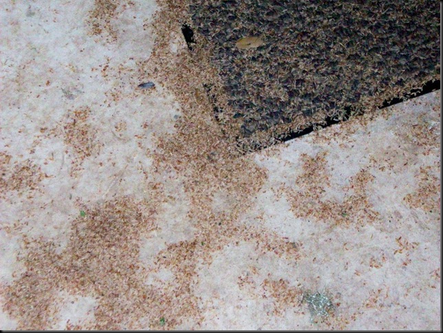 pollen pile at door pollen pile at door