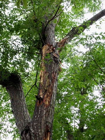 [lightning strike[5].jpg]