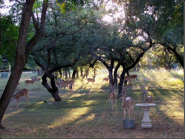 8-10 evening gang 8-10 evening gang