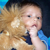 Daniel and the Lion