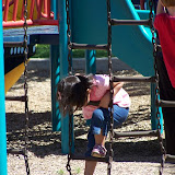 100_1427.jpg