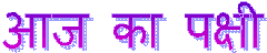 clip_image002