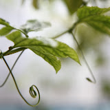 RainDown 幹部退休會-風景集