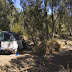 Gregory Downs camped by the Gregory River. North Western Queensland.jpg, Camp spot at Gregory Downs, Qld, Travels