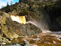 IMGP1696w.jpg