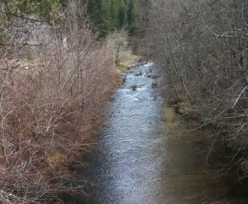 Cow Creek