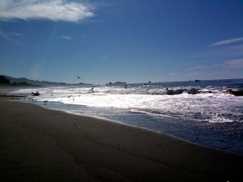 Oregon Coast