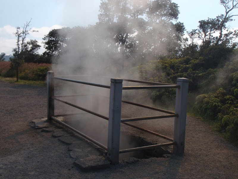 Steam vent