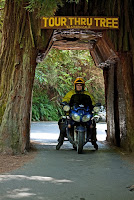 068_edited-1.jpg