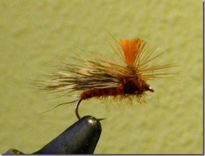 clip_image050 clip_image050