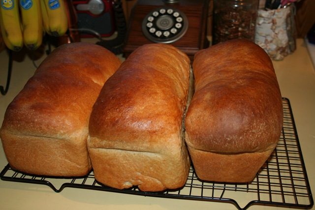 [breadcrzyq 001[2].jpg]