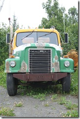 homer 079