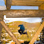 Mike Leake Photo: Rod Walker