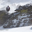 Mikey @ Kirkwood