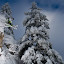 Skier: Max Photo: Gabe Rogel/rogelphoto.com