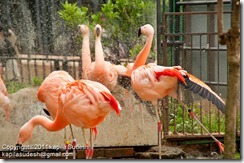 DSC_1780 DSC_1780