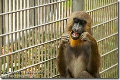 DSC_1894 DSC_1894
