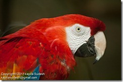 DSC_1906 DSC_1906