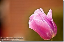 DSC_2023 DSC_2023