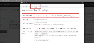 Screenshot WordPress Von URL einfügen Screenshot WordPress Von URL einfügen (Klicke zum Vergrößern)