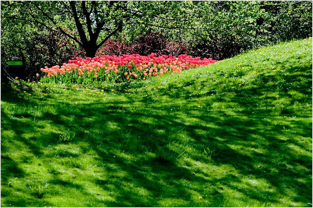 Album Helmut: Frühling-Anfang