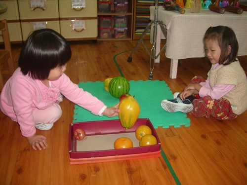 工作-逸與容水果模型