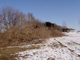 DSC06617.JPG
