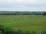 osprey10.jpg