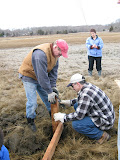 3-8-09,sfs,osprey platform092.JPG