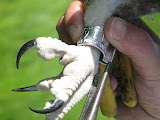 Pictures 044.jpg