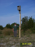 pic4.jpg