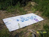 Copy of Pictures 026.jpg