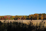 Guilford Salt Meadow Sanctuary Osprey Platform