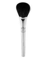 [CDblusherbrush8.jpg]