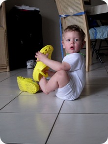 yellowcrocs