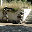 La Guia - Partida dia 29/05/2010