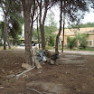 DSC02658.jpg