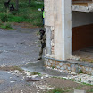 DSC05076.jpg