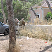 dsc0407g.jpg