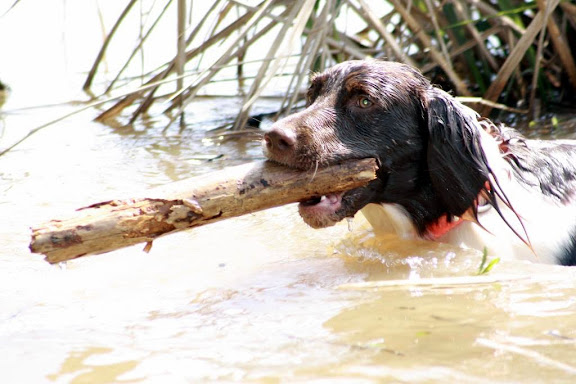 IMAGE: http://lh6.ggpht.com/_-U-MCepSAGw/S_Mqz2R7vFI/AAAAAAAAAEA/oL7WHBFrLbc/s576/Lake8.jpg