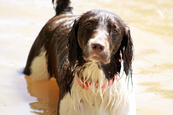 IMAGE: http://lh6.ggpht.com/_-U-MCepSAGw/S_Mqz_jHmFI/AAAAAAAAAEE/upYOZqWmGc0/s576/Lake10.jpg