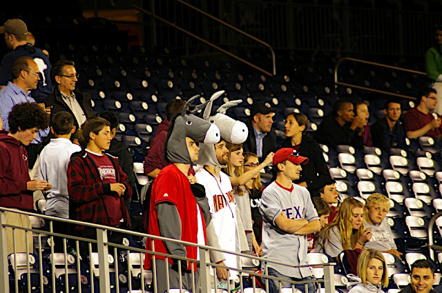 Donkeys