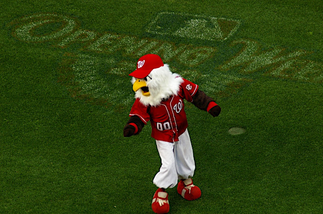 Screech, and the fading Opening Week Grass Screech, and the fading Opening Week Grass