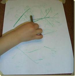 leaf rubbings