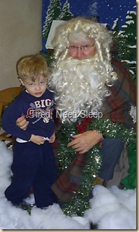 nature santa (3)