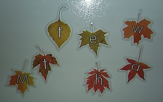 [fridgemagnets1[1].jpg]