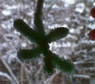 pretty green crystal snowflake